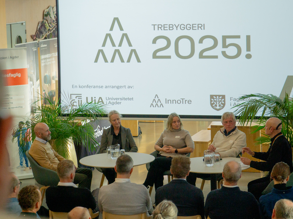 Trebyggeri 2025